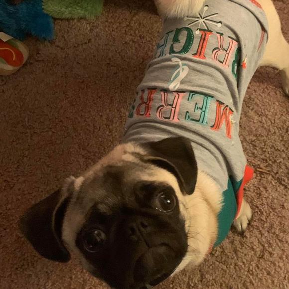 Meet your Posher, Ruby - Picture 1 of 1